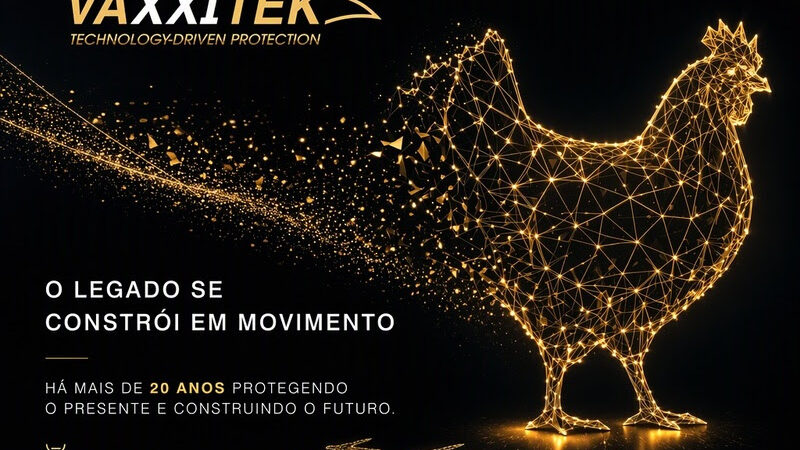 Evolução sanitária na avicultura: imunização em incubatórios contra Gumboro e Marek completa duas décadas.