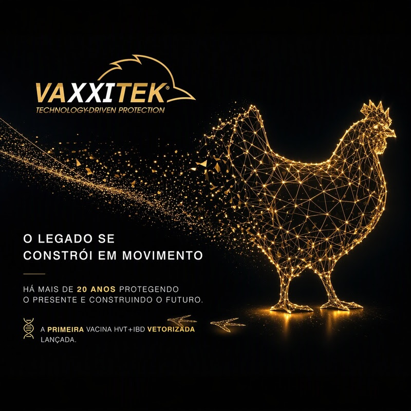 Evolução sanitária na avicultura: imunização em incubatórios contra Gumboro e Marek completa duas décadas.